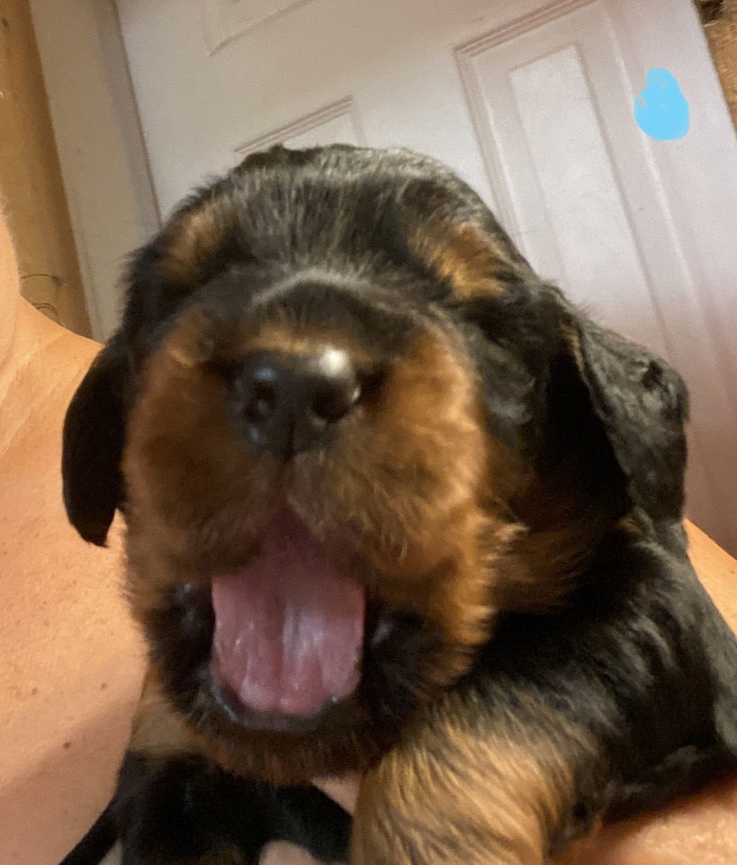 Week 2-3 on the move and getting playful