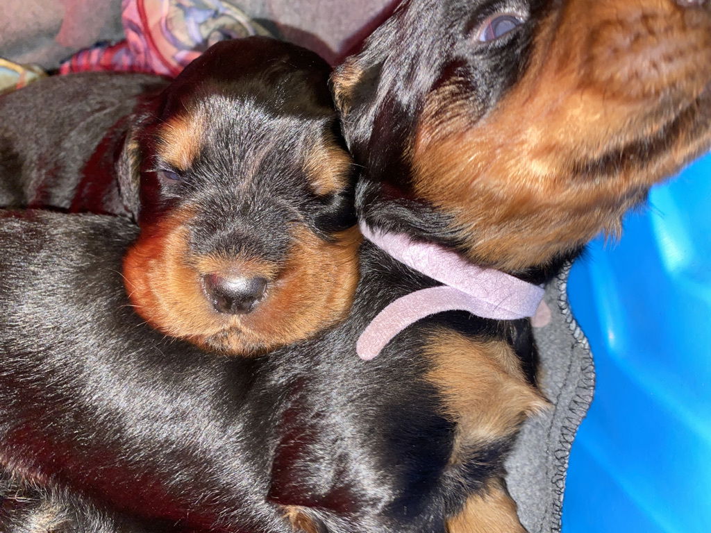 Week 2-3 on the move and getting playful