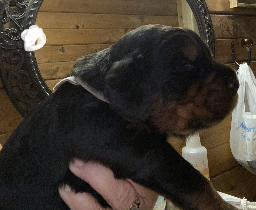 Week 2-3 on the move and getting playful