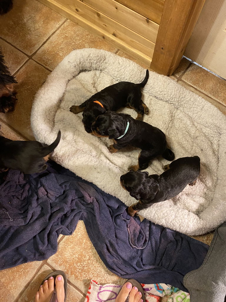 Week 2-3 on the move and getting playful