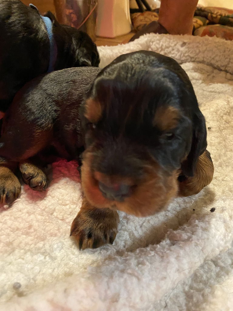 Week 2-3 on the move and getting playful