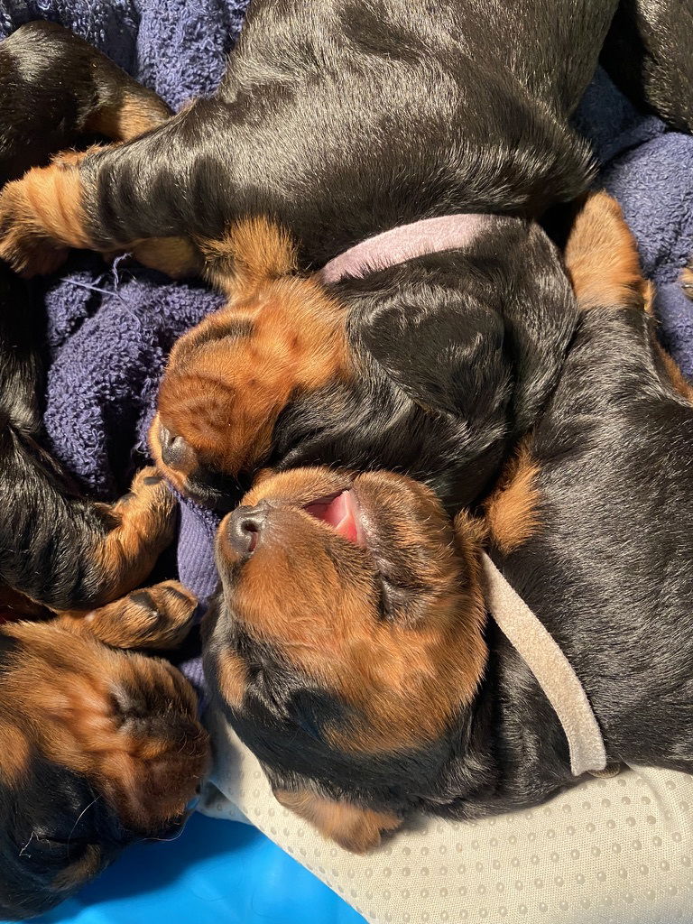 Week 2-3 on the move and getting playful