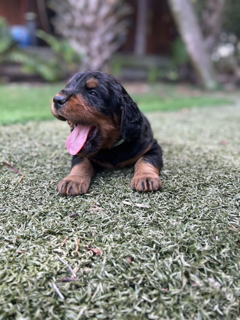 enjoying the hot Florida weather.