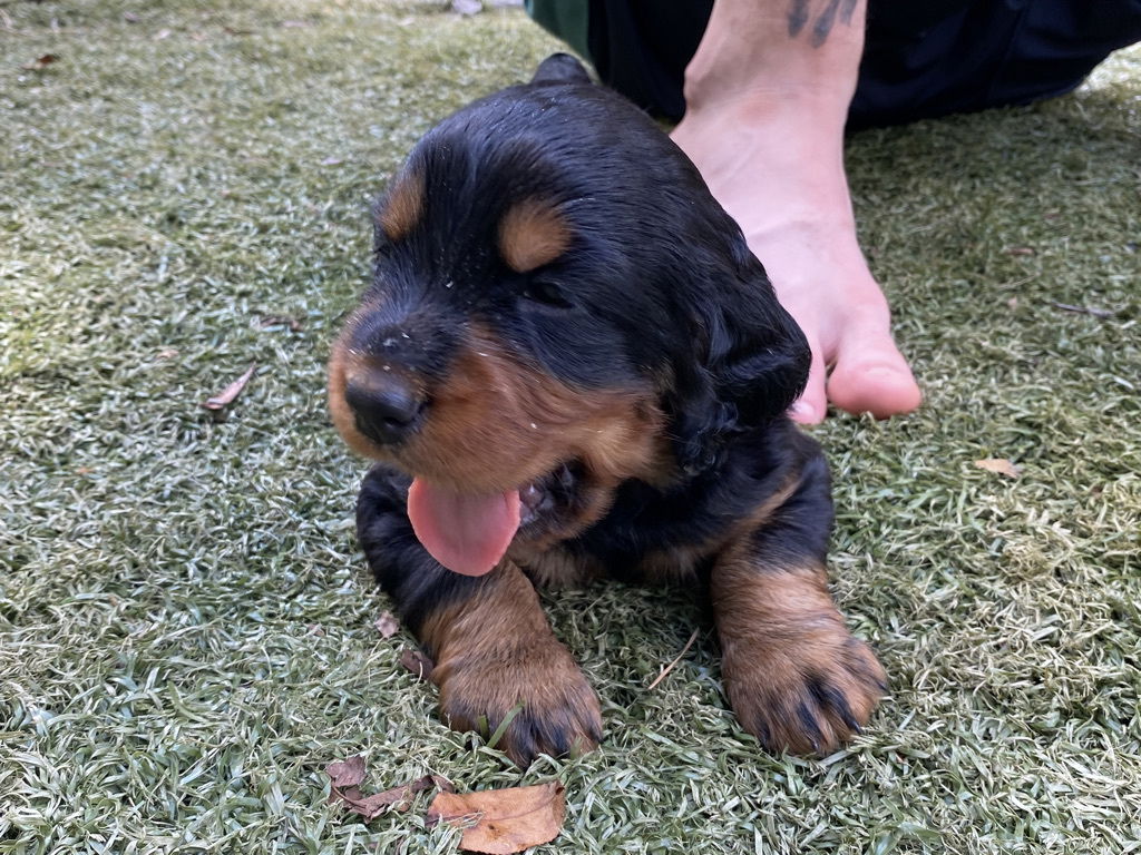 enjoying the hot Florida weather.