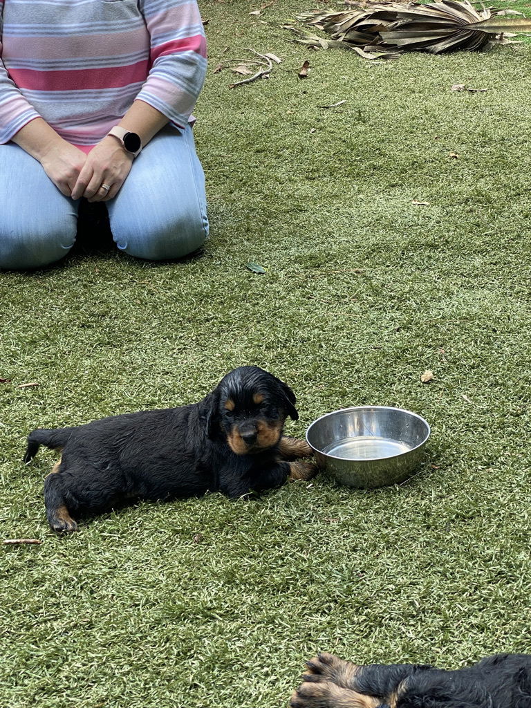 enjoying the hot Florida weather.