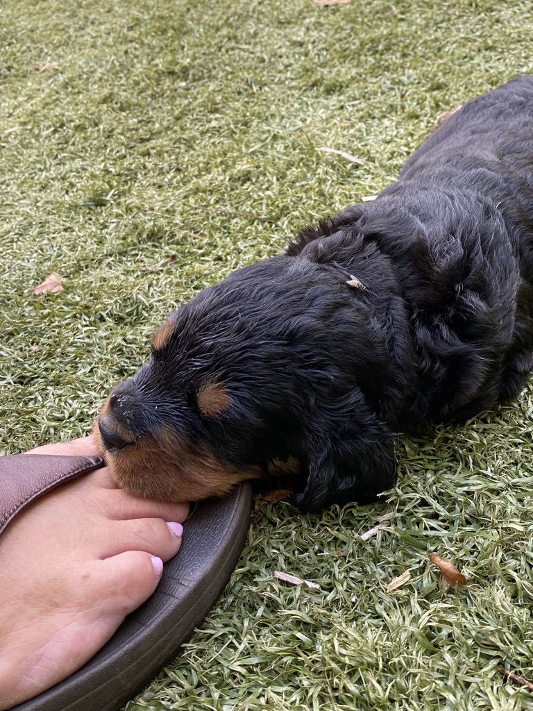 enjoying the hot Florida weather.