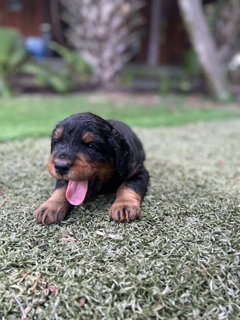 enjoying the hot Florida weather.