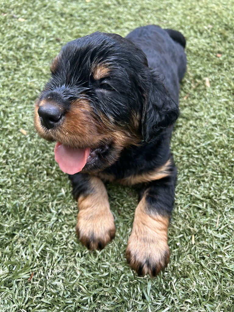 enjoying the hot Florida weather.