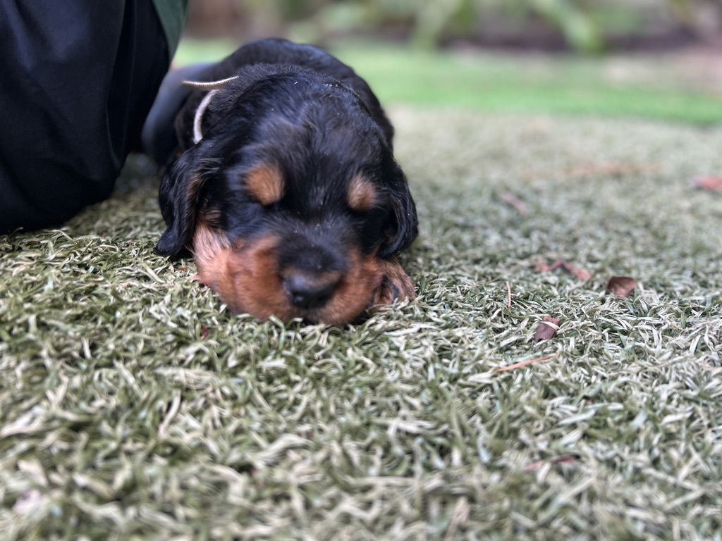 enjoying the hot Florida weather.