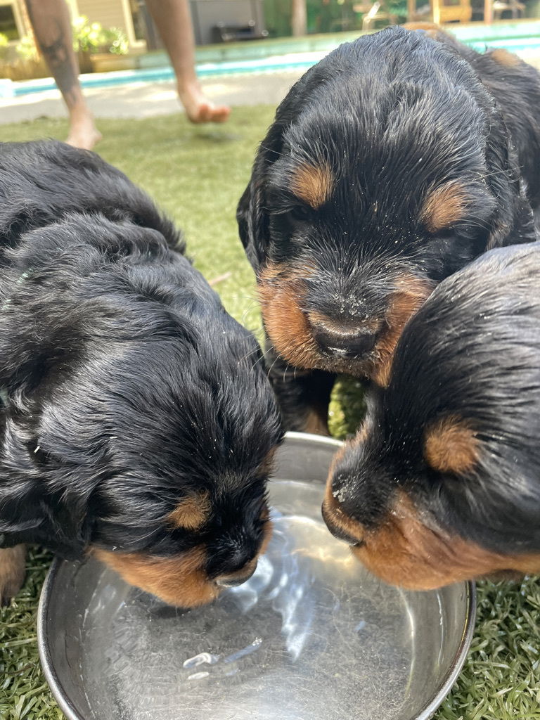 enjoying the hot Florida weather.