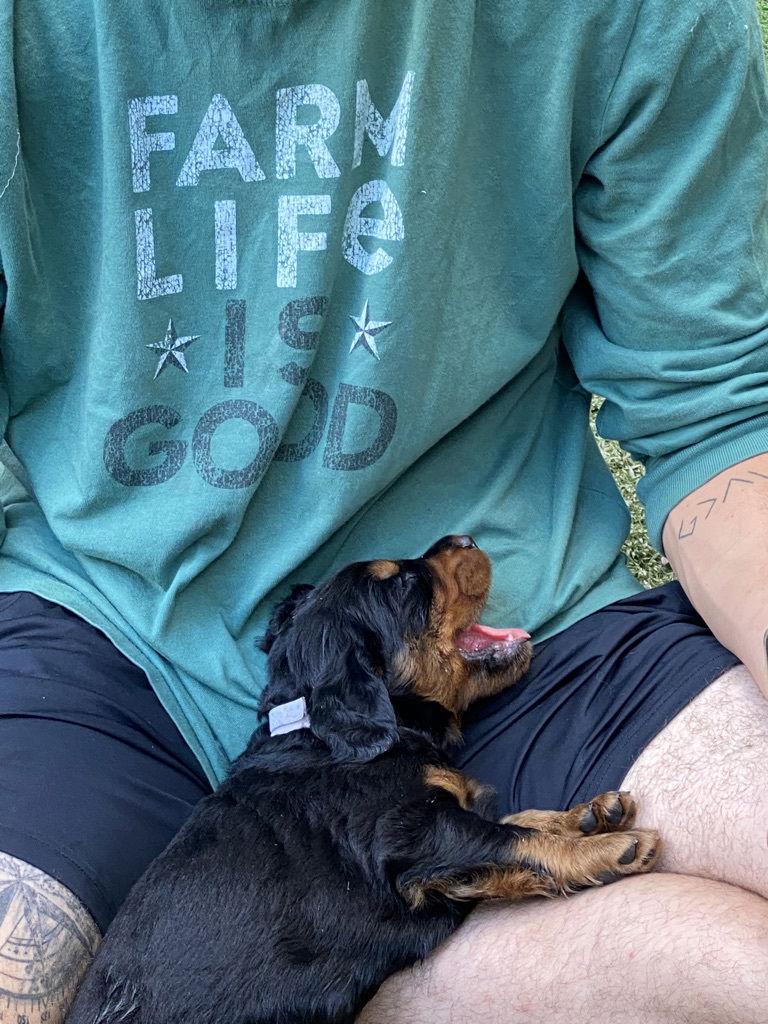 enjoying the hot Florida weather.