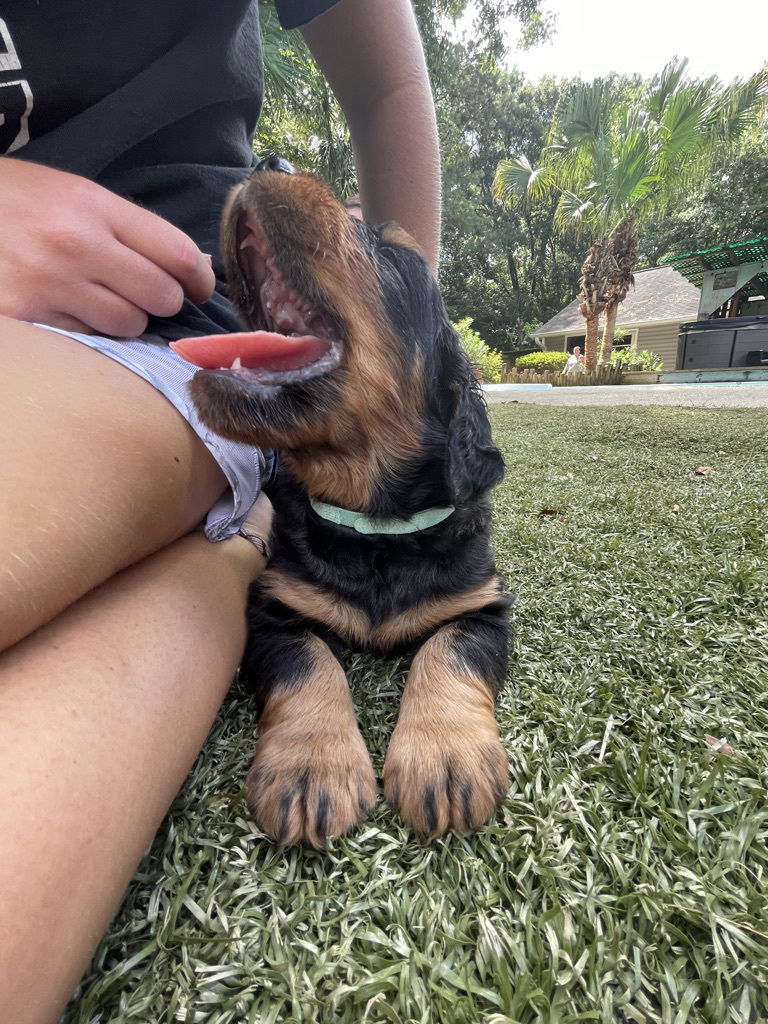 enjoying the hot Florida weather.