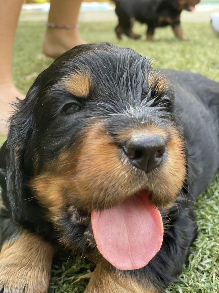 enjoying the hot Florida weather.