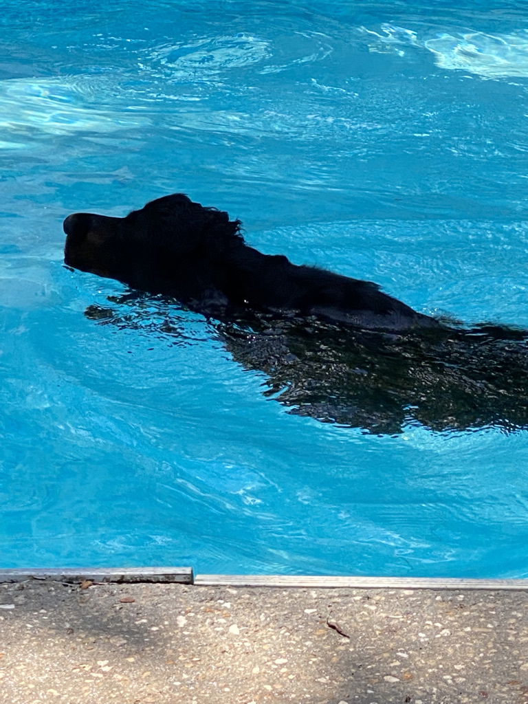 enjoying the hot Florida weather.