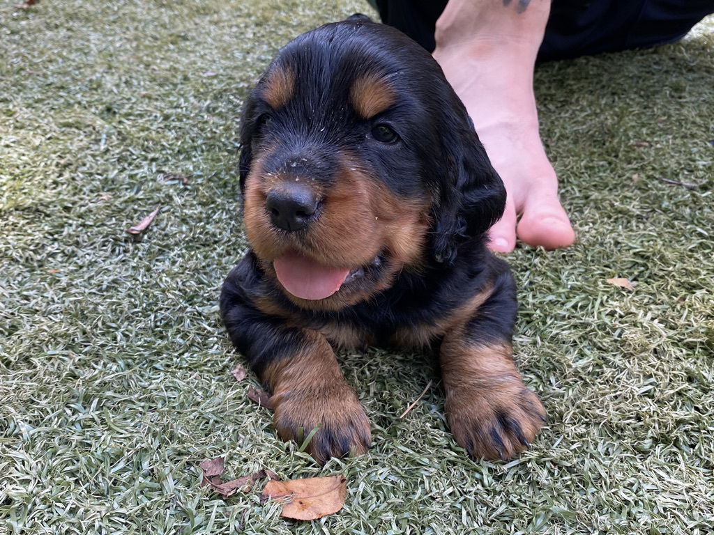 enjoying the hot Florida weather.