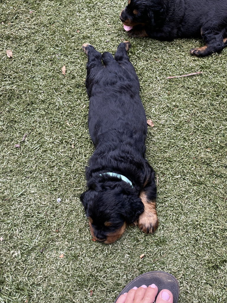 enjoying the hot Florida weather.