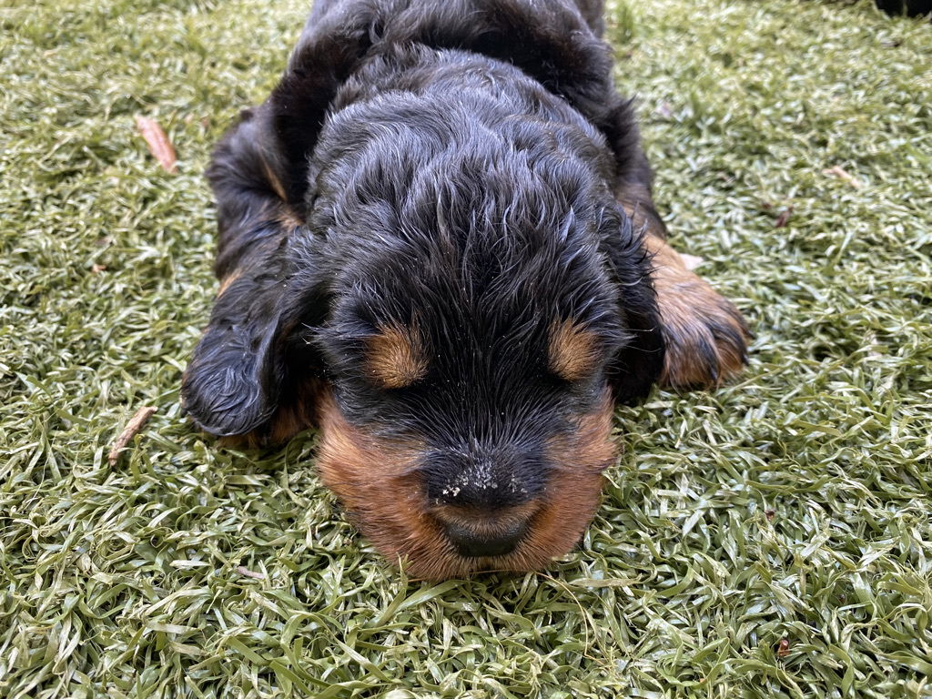 enjoying the hot Florida weather.