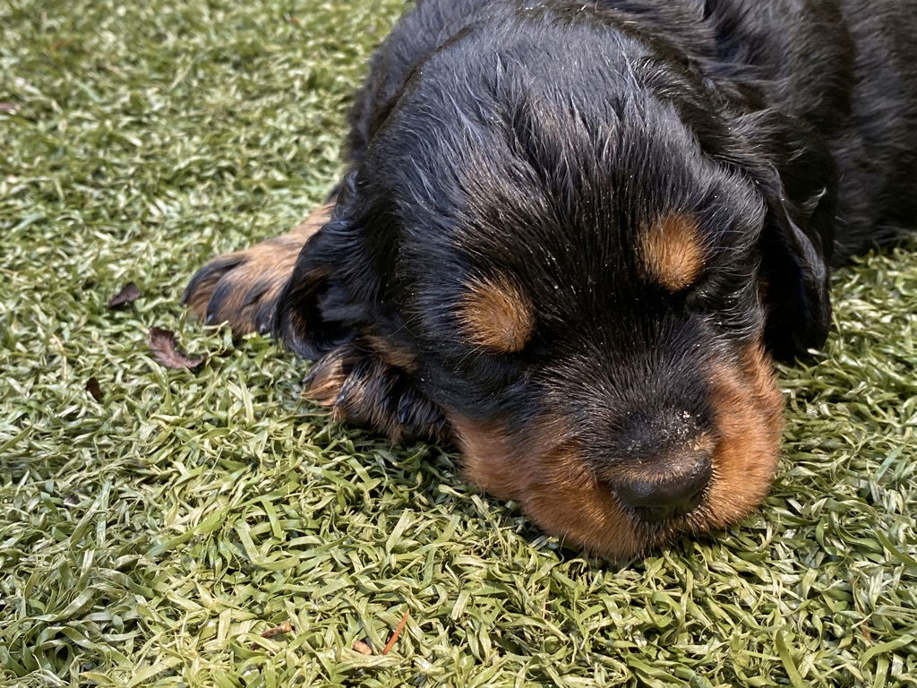 enjoying the hot Florida weather.