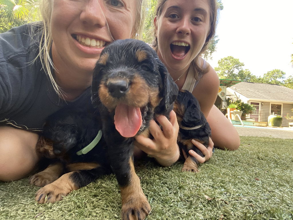 enjoying the hot Florida weather.