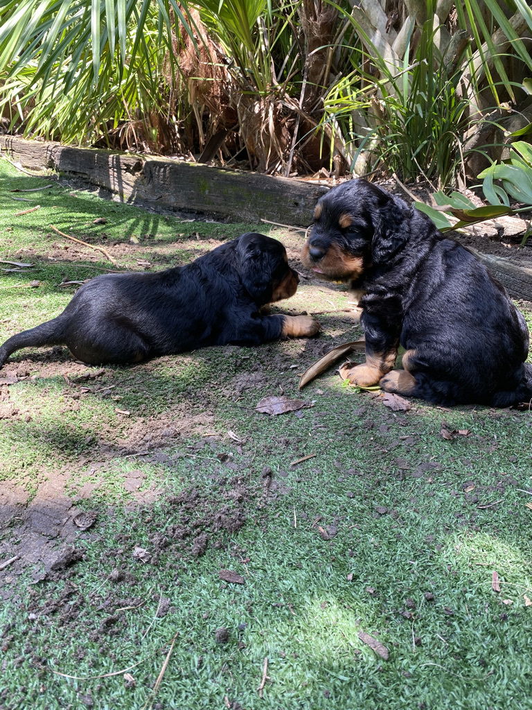 enjoying the hot Florida weather.