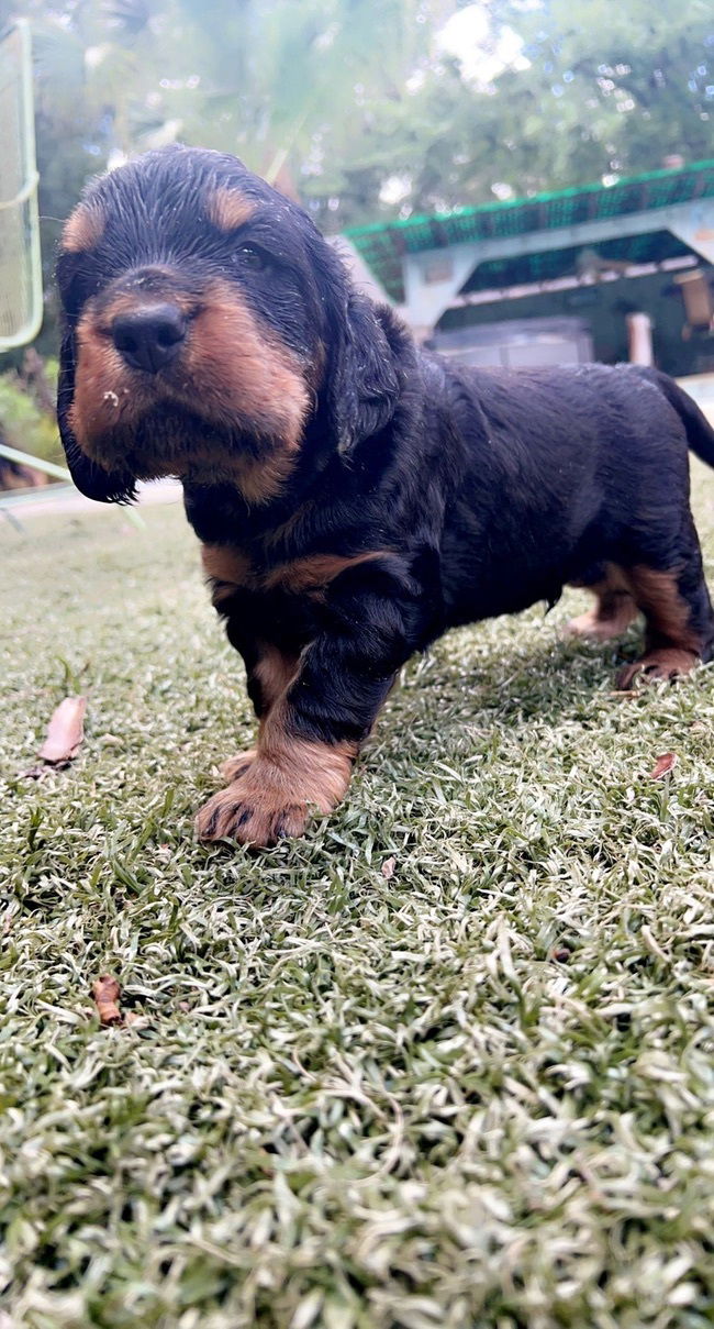 enjoying the hot Florida weather.