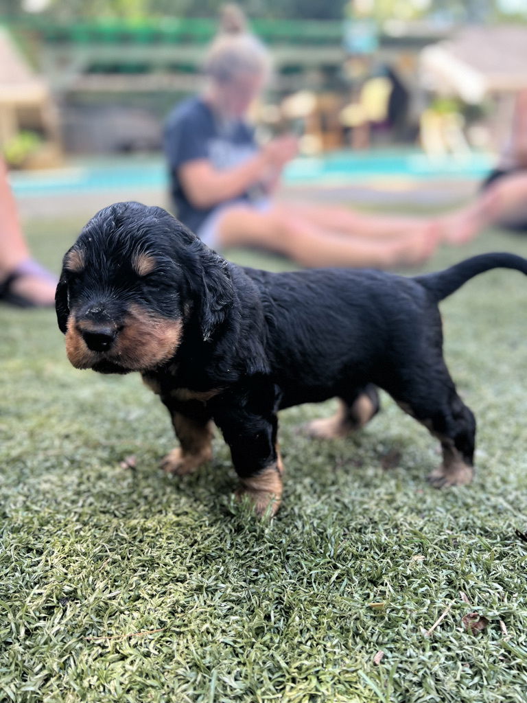 enjoying the hot Florida weather.