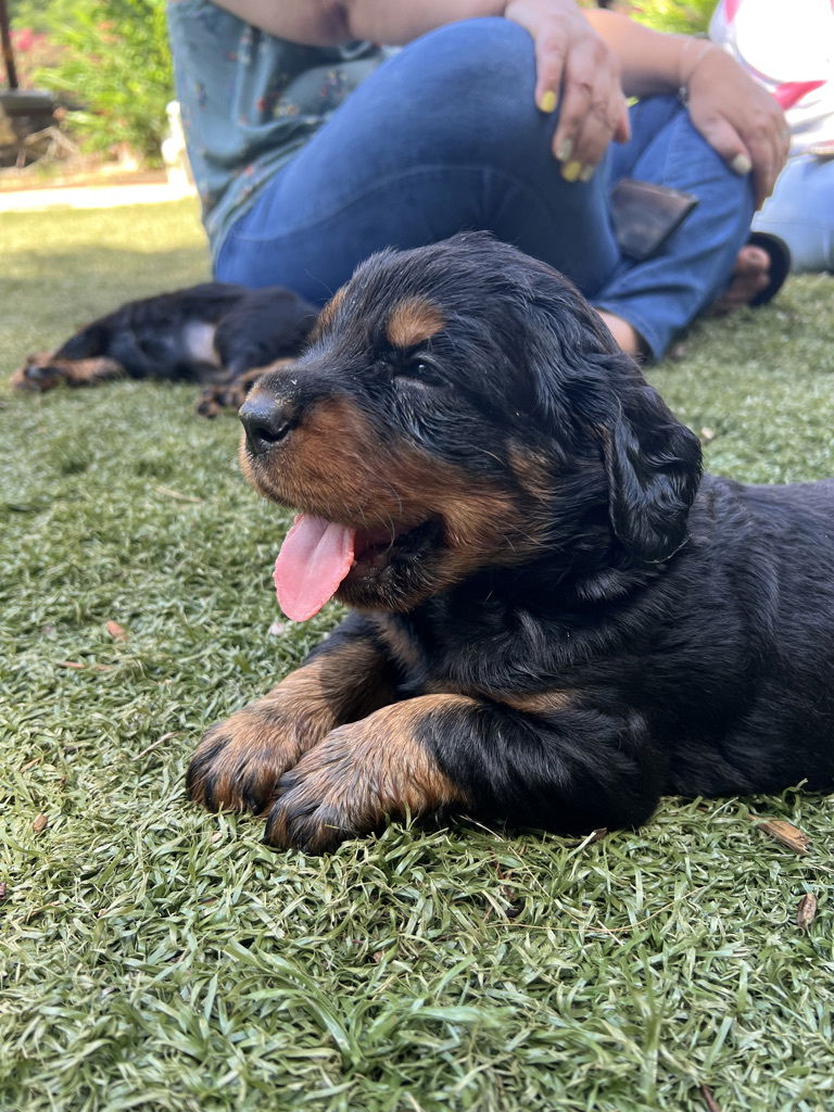 enjoying the hot Florida weather.