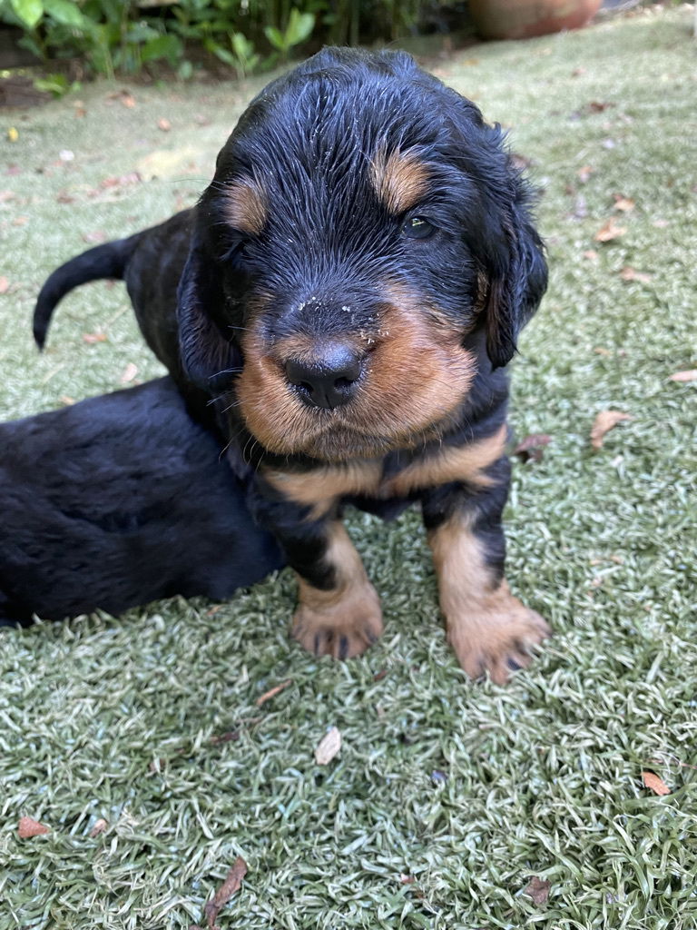 enjoying the hot Florida weather.