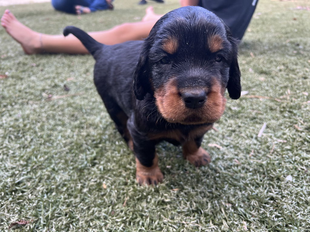 enjoying the hot Florida weather.