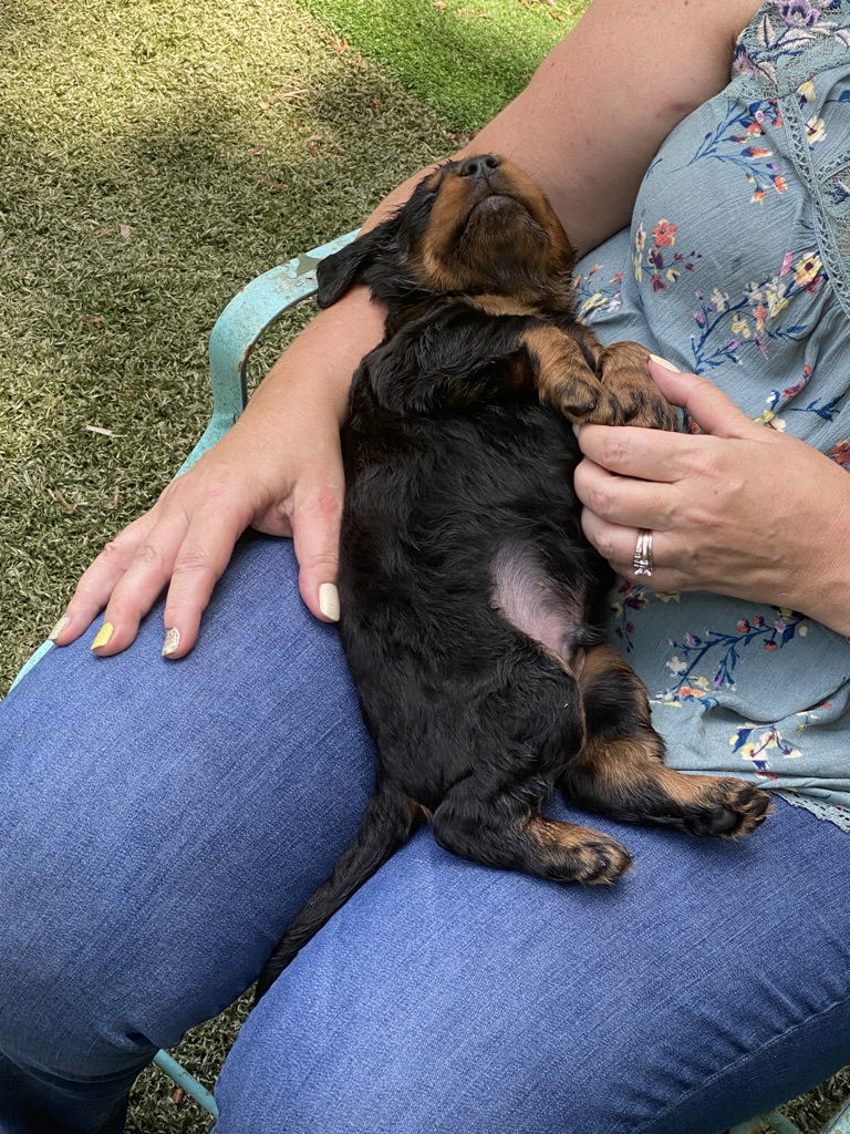 enjoying the hot Florida weather.