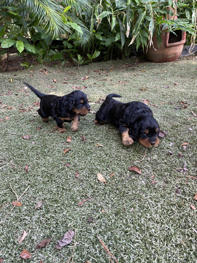 enjoying the hot Florida weather.