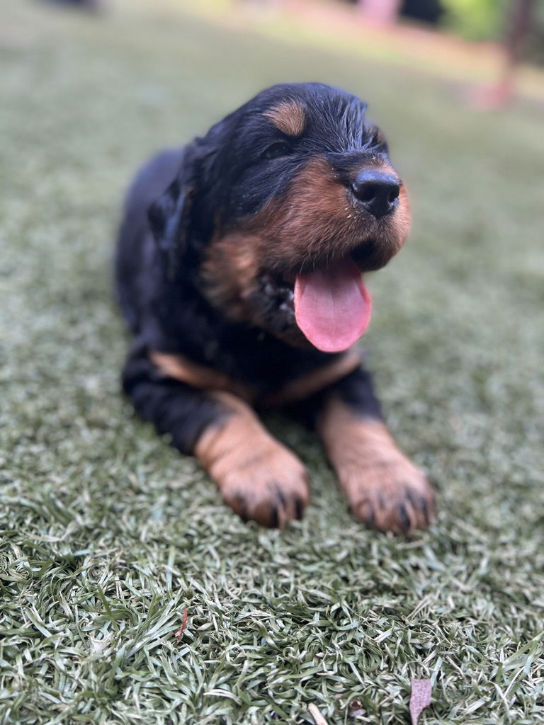 enjoying the hot Florida weather.