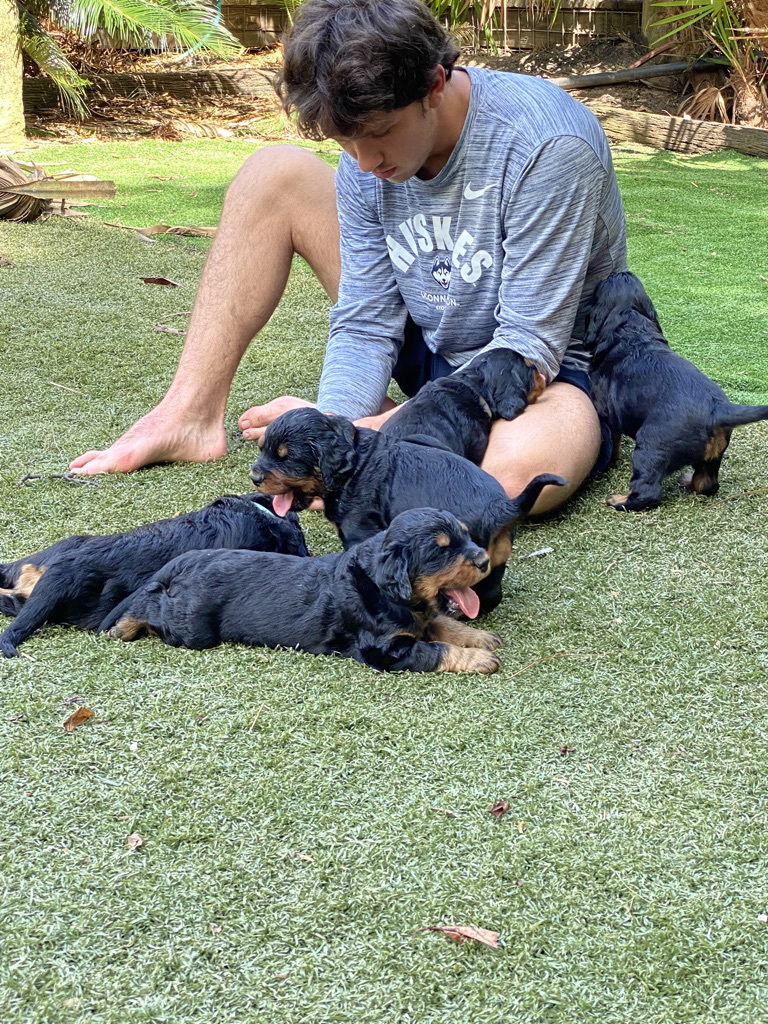 enjoying the hot Florida weather.