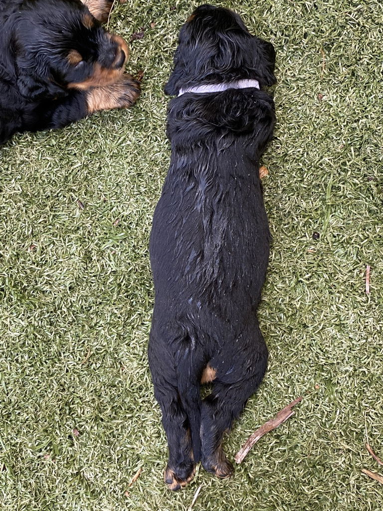 enjoying the hot Florida weather.