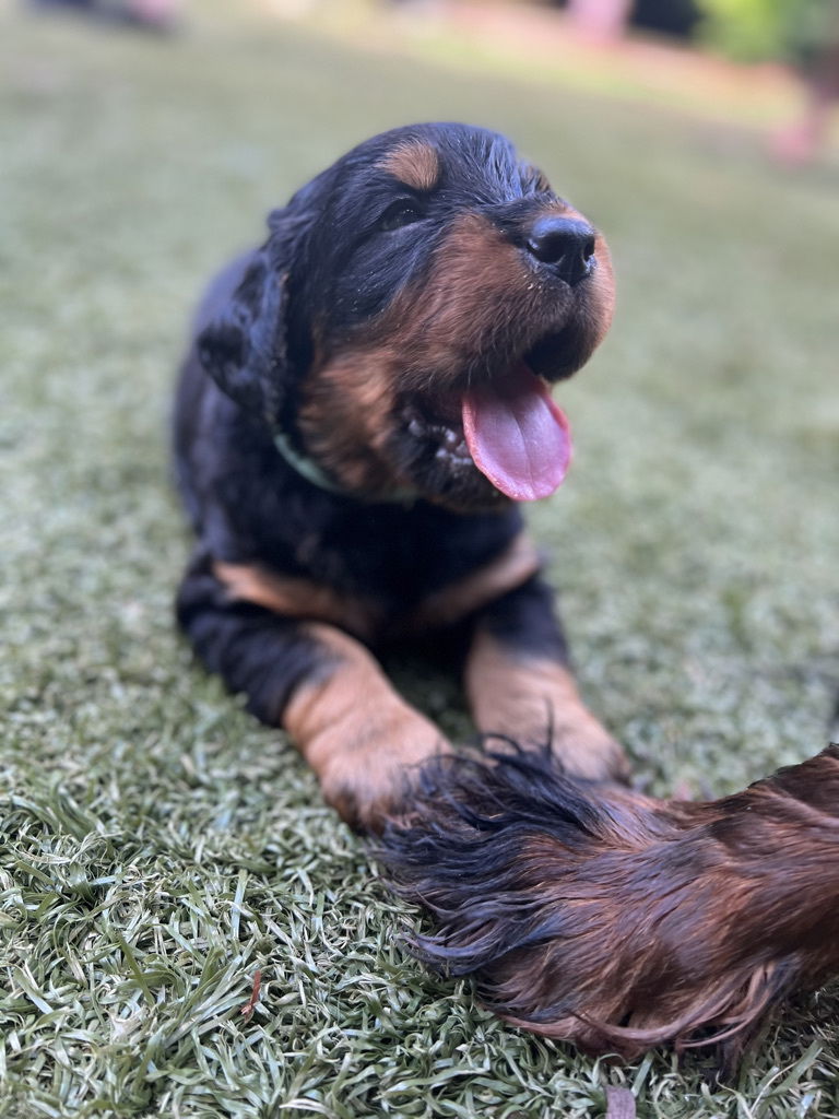 enjoying the hot Florida weather.