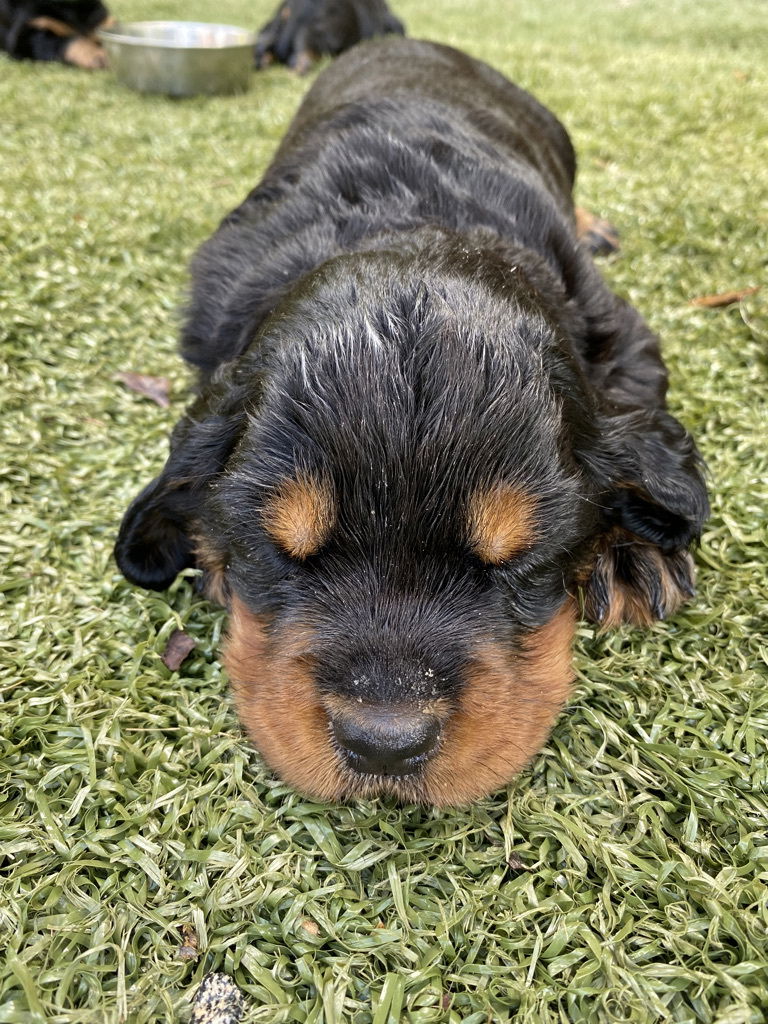 enjoying the hot Florida weather.