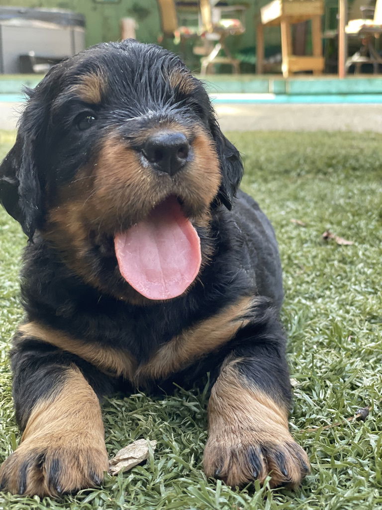 enjoying the hot Florida weather.