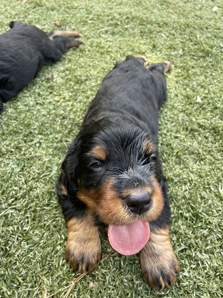 enjoying the hot Florida weather.