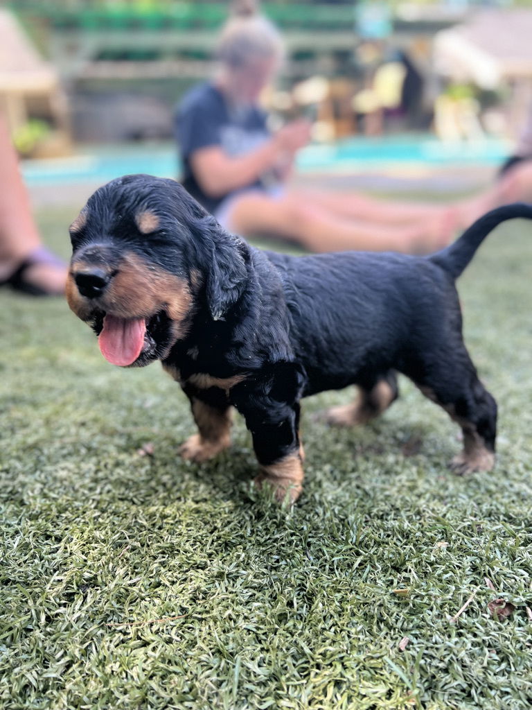 enjoying the hot Florida weather.