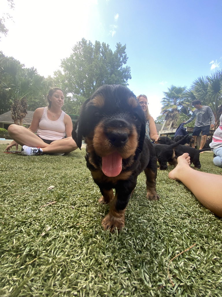 enjoying the hot Florida weather.