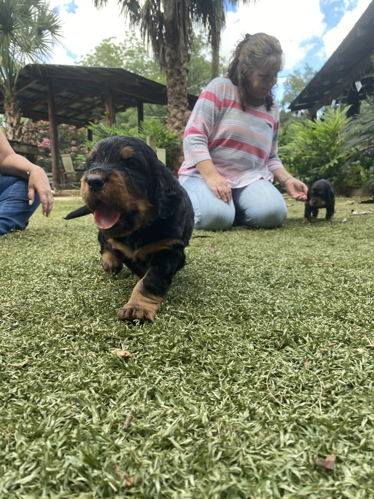 enjoying the hot Florida weather.