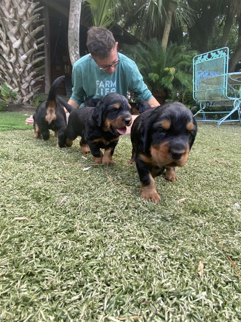 enjoying the hot Florida weather.