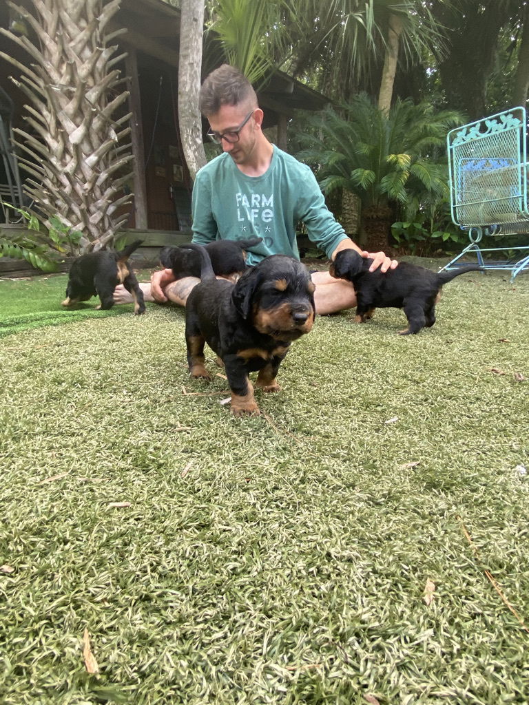 enjoying the hot Florida weather.