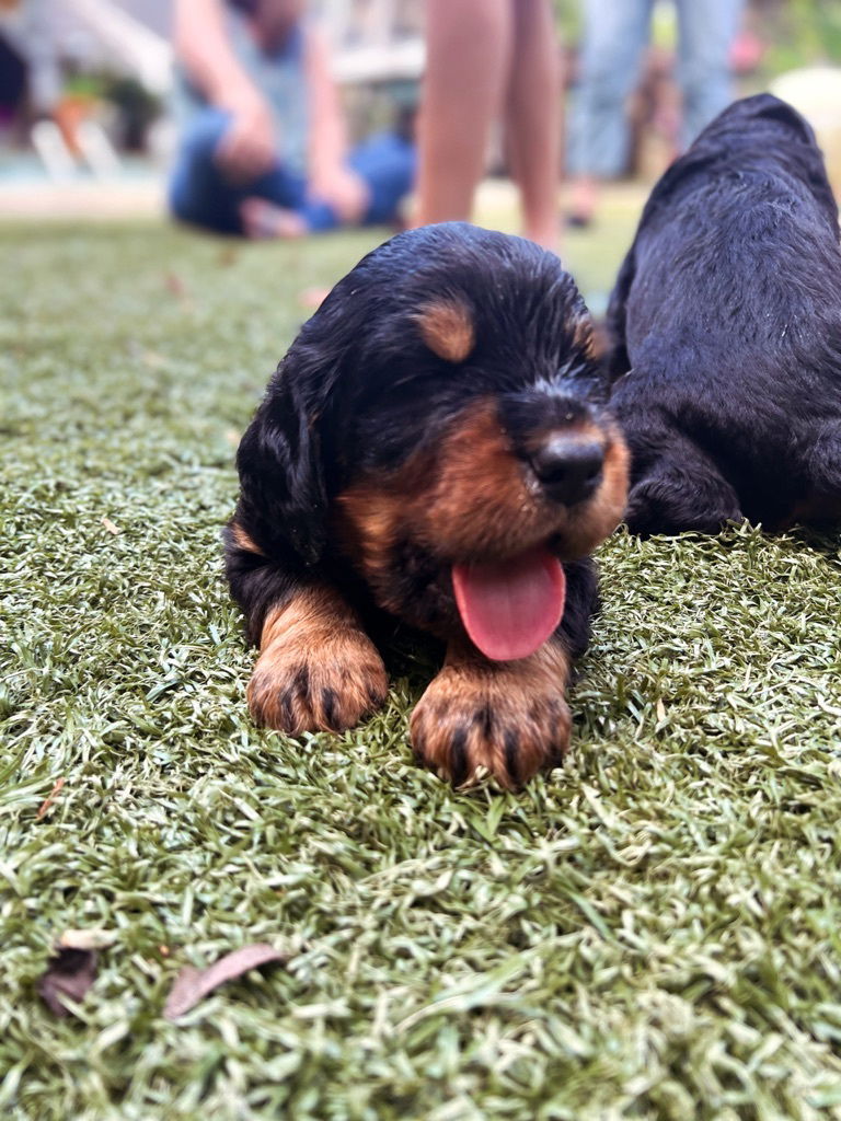 enjoying the hot Florida weather.