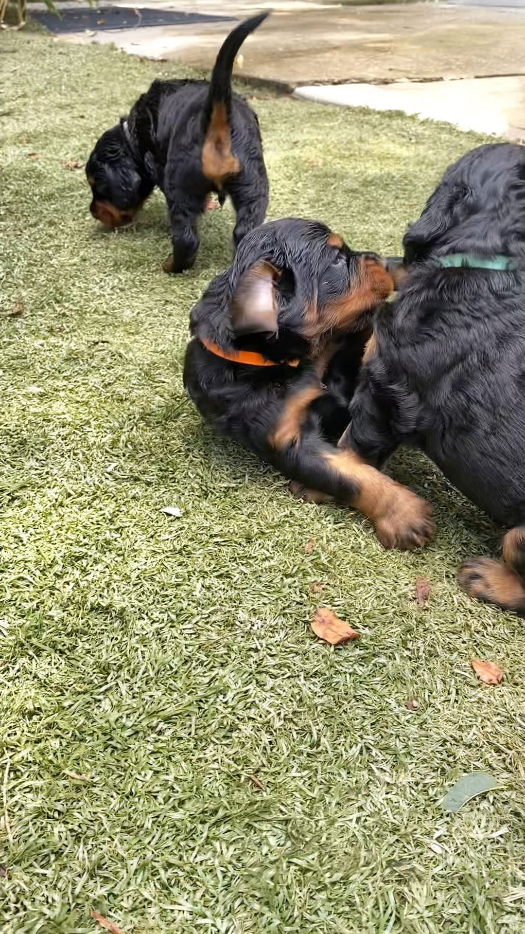 enjoying the hot Florida weather.