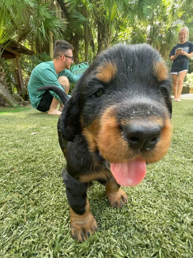 enjoying the hot Florida weather.