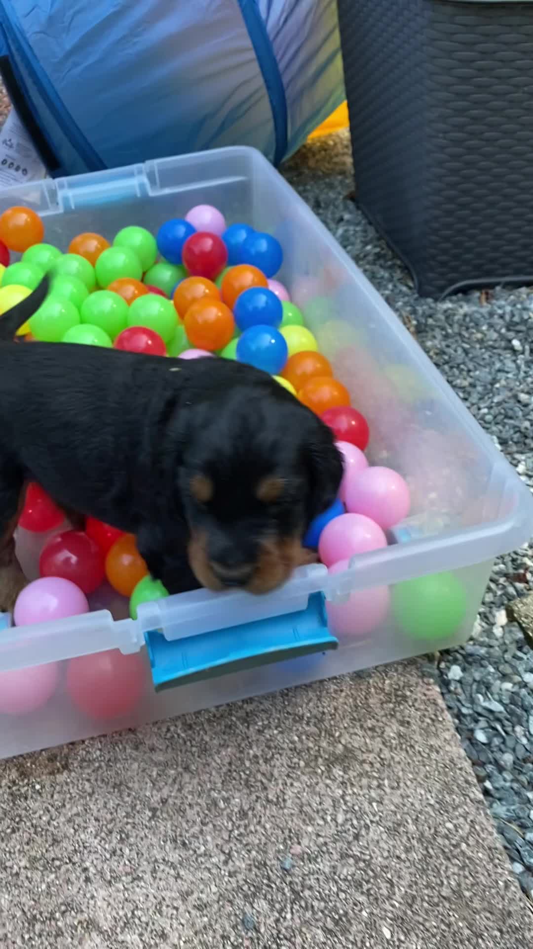 Out door time with the pool and tunnel