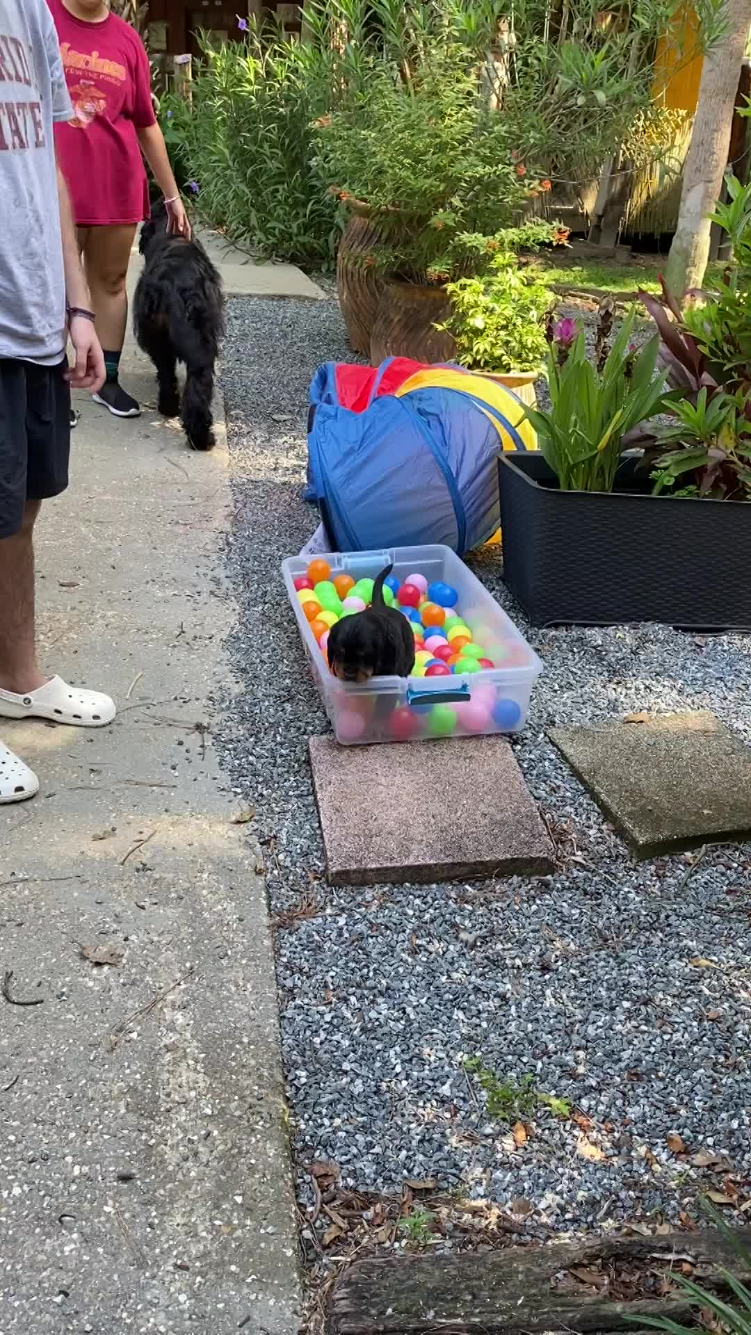 Out door time with the pool and tunnel
