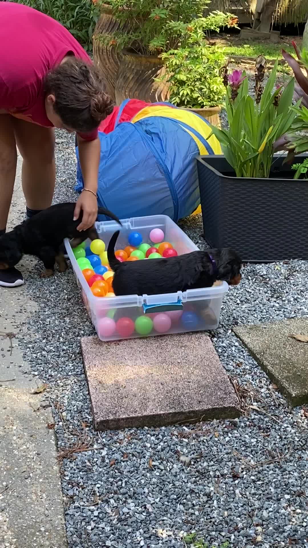 Out door time with the pool and tunnel