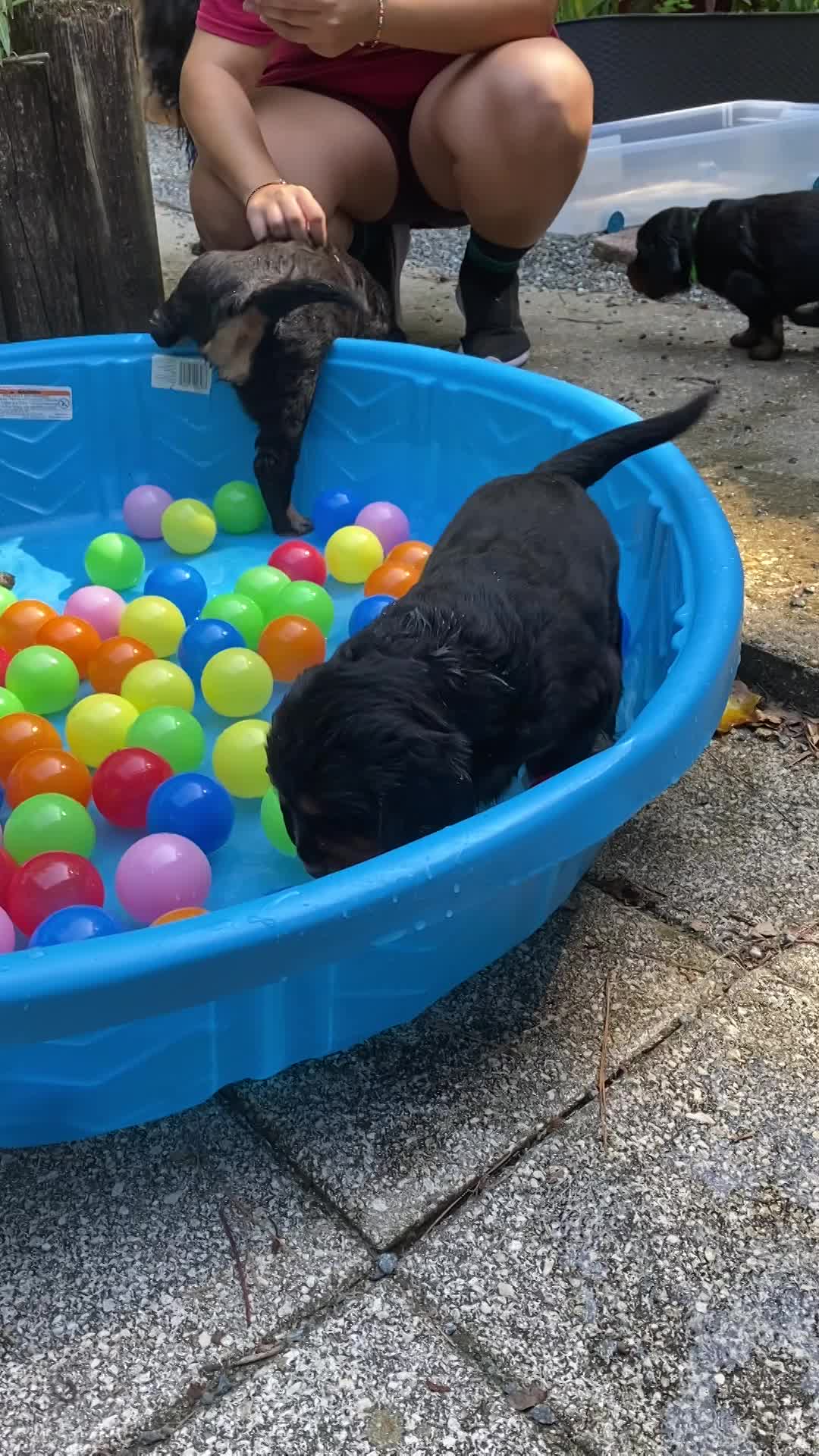 Out door time with the pool and tunnel